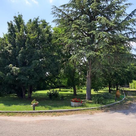 מלון Altedo Casa Massimo מראה חיצוני תמונה