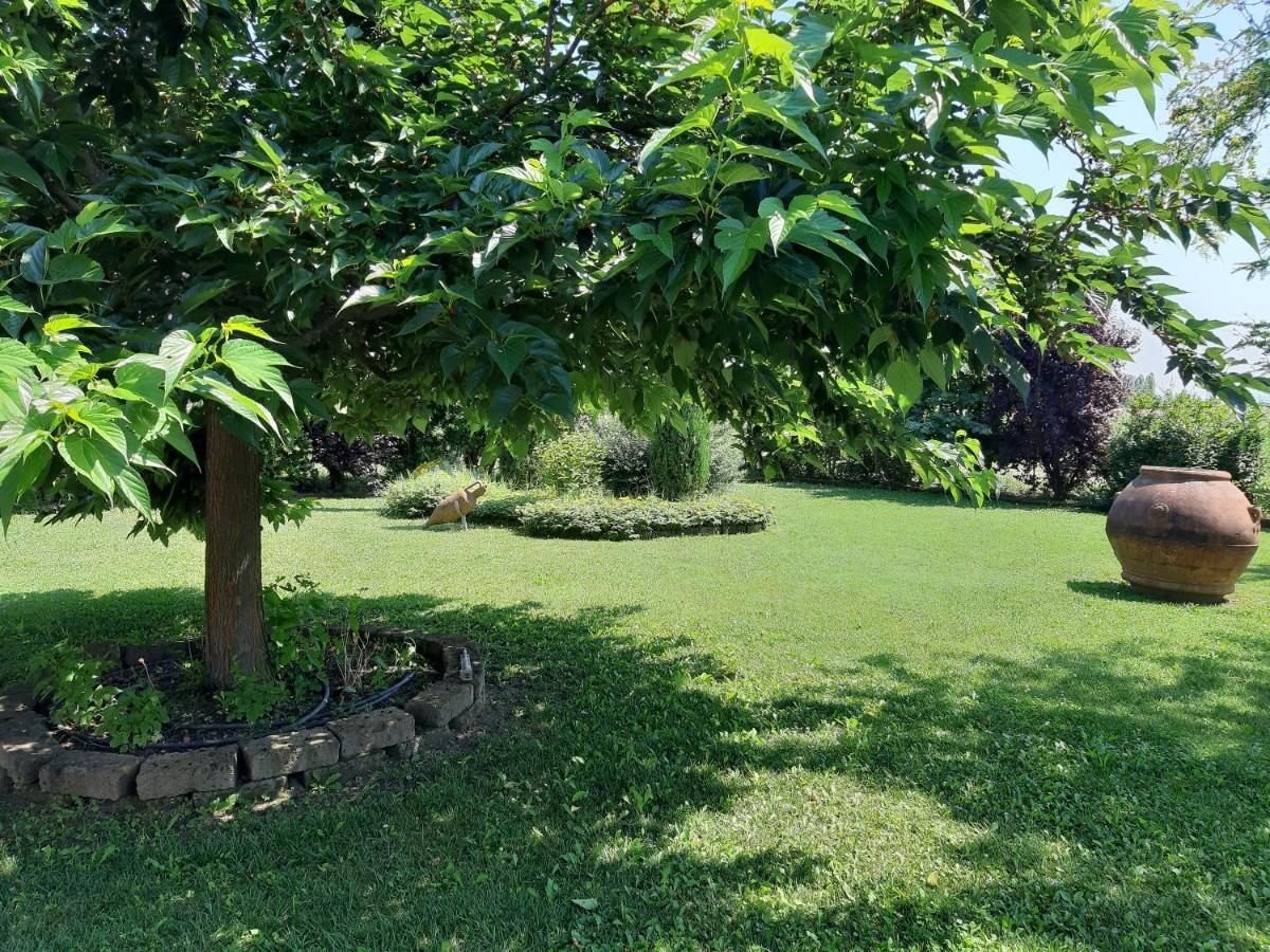 מלון Altedo Casa Massimo מראה חיצוני תמונה