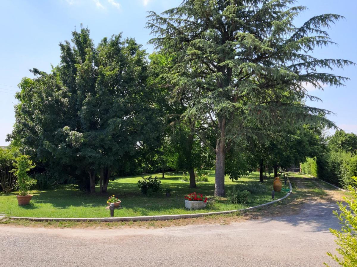 מלון Altedo Casa Massimo מראה חיצוני תמונה